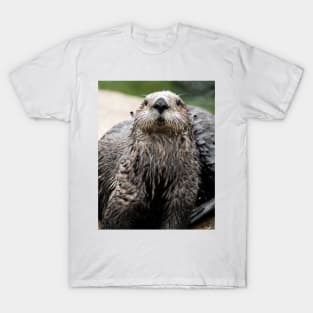 Cute Sea Otter T-Shirt